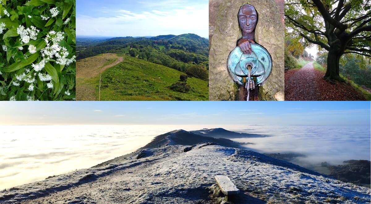 Various photographs of scenes in and around the Malvern Hills across the seasons