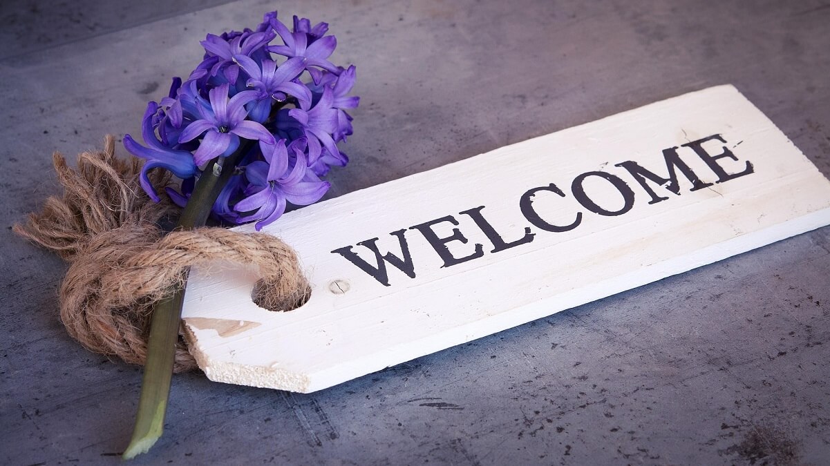 A purple hyacinth next to a wooden sign saying 'Welcome'